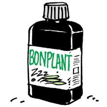 bonplan