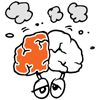 Cerveau