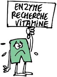 enzyme
