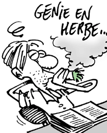 Herbe