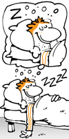 zzz